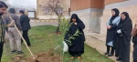 به احترام طبیعت، برای زمین ...هفته درختکاری در دانشگاه ملی مهارت دختران یاسوج انجام گرفت  2