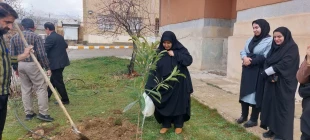 به احترام طبیعت، برای زمین ...هفته درختکاری در دانشگاه ملی مهارت دختران یاسوج انجام گرفت  2