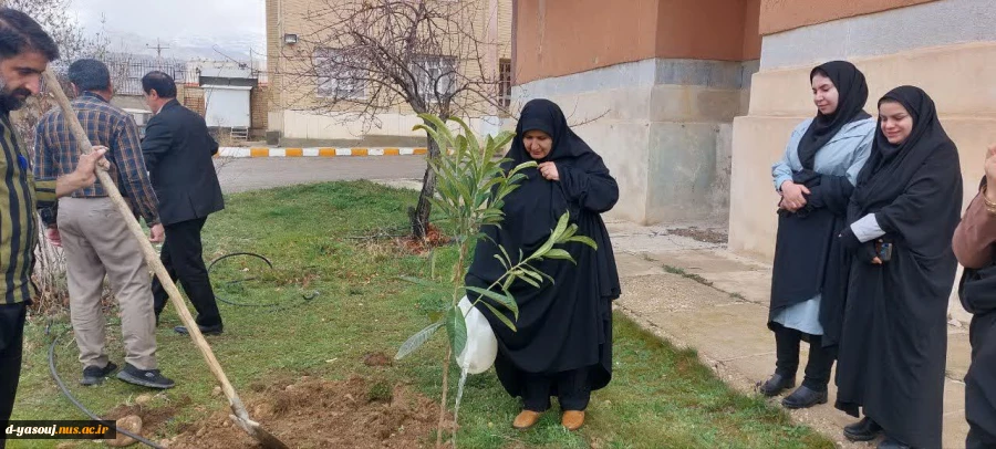 به احترام طبیعت، برای زمین ...هفته درختکاری در دانشگاه ملی مهارت دختران یاسوج انجام گرفت  2