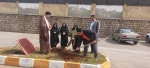 به احترام طبیعت، برای زمین ...هفته درختکاری در دانشگاه ملی مهارت دختران یاسوج انجام گرفت  3
